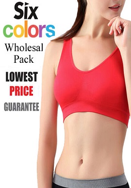 Wholesale Sport Bra Lot -Six Pieces Assorted Colours