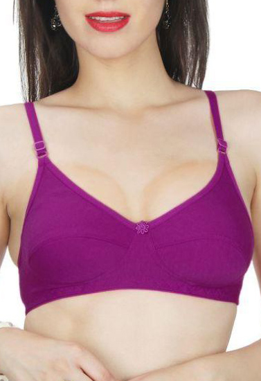 Multi-Colors Cotton Wholesale Lot 6 Bras