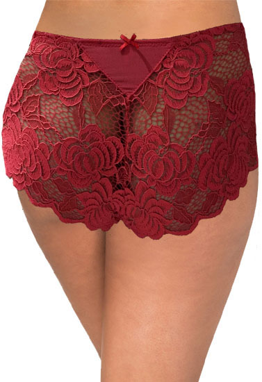 RougeGorge Hot Floral Embroidery Style Hipster Panty(sold out)