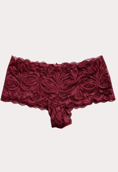Elegant Floral Lace Hipster Panty – Soft Stretch Sheer Lace Women’s Brief
