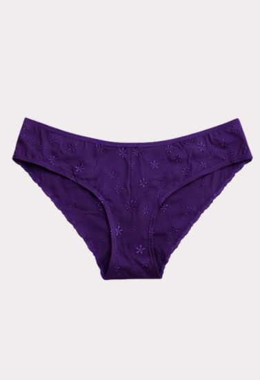 Elegant Purple Embroidered Cotton Panty